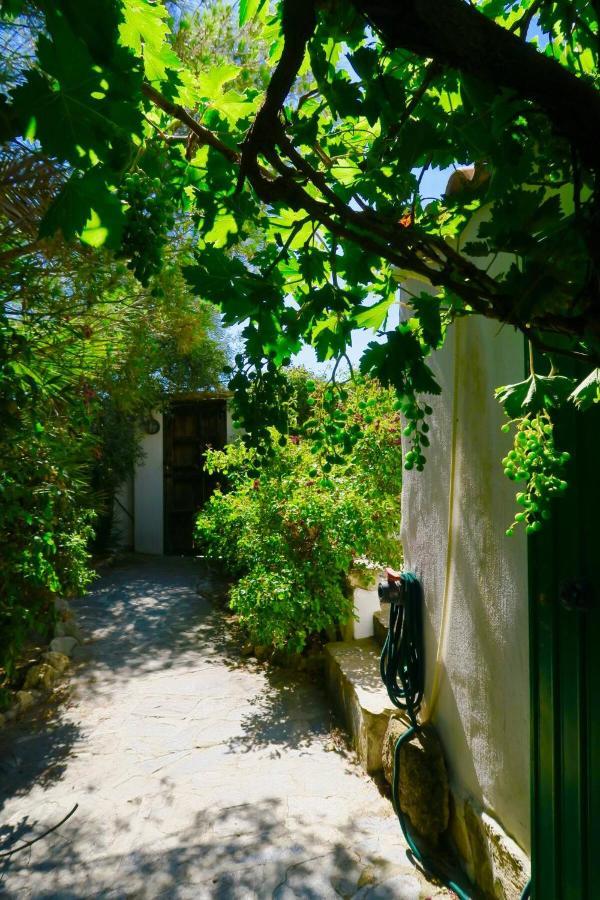 Cortijo Paraiso Charcon Higuera Exterior photo