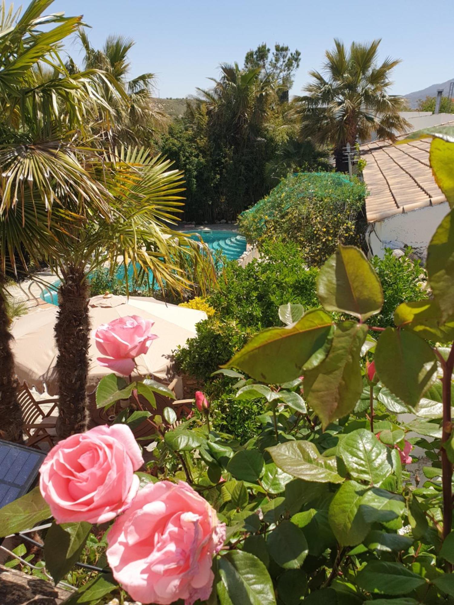 Cortijo Paraiso Charcon Higuera Exterior photo